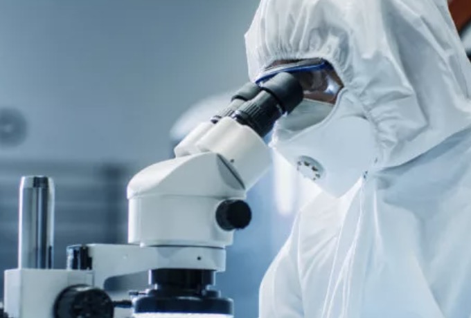 鹤山市七天鸟科技